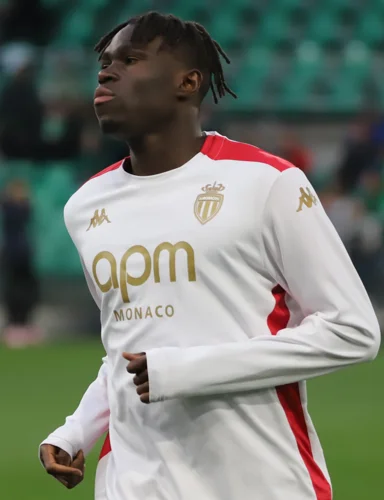 Wilfried Singo