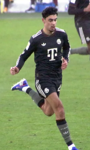 Aleksandar Pavlovic