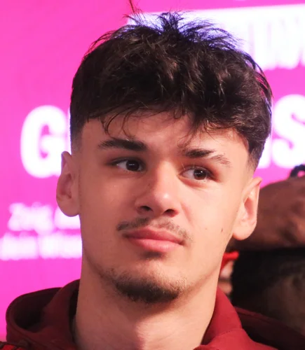 Kerim Alajbegovic