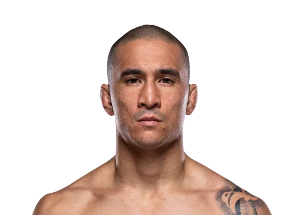 Dom Mar Fan headshot