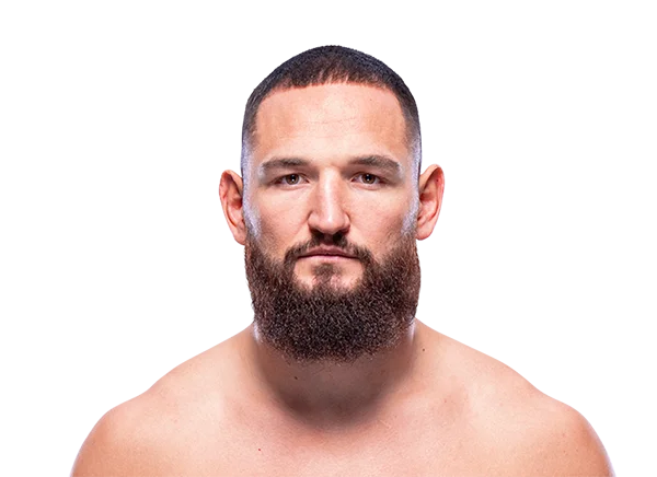 Nicolae Negumereanu headshot